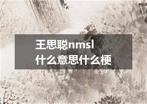 王思聪nmsl什么意思什么梗