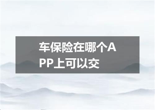 车保险在哪个APP上可以交