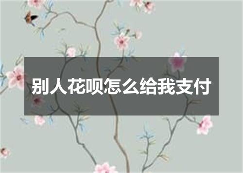 别人花呗怎么给我支付
