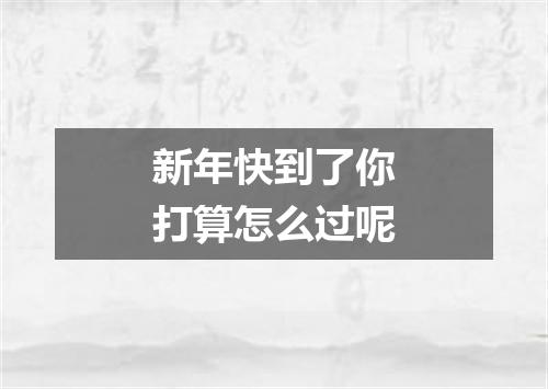 新年快到了你打算怎么过呢