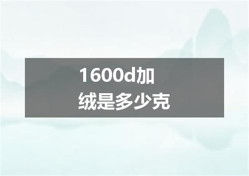 1600d加绒是多少克