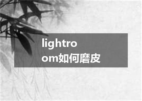 lightroom如何磨皮