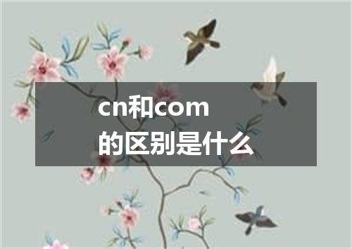 cn和com的区别是什么