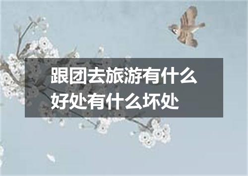 跟团去旅游有什么好处有什么坏处