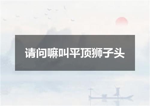 请问嘛叫平顶狮子头