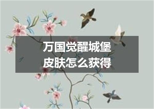 万国觉醒城堡皮肤怎么获得