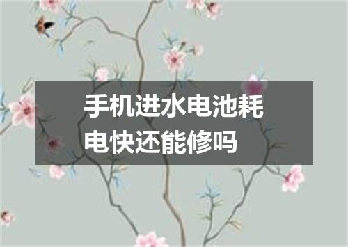 手机进水电池耗电快还能修吗