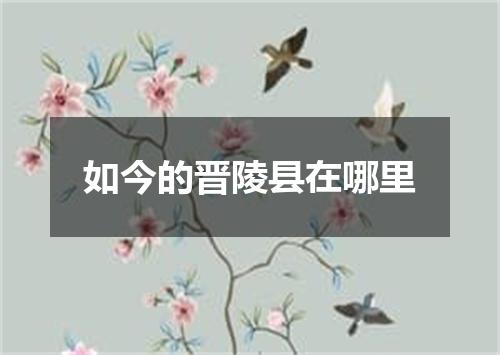 如今的晋陵县在哪里