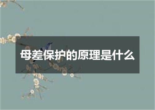 母差保护的原理是什么
