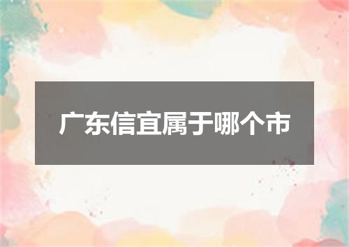 广东信宜属于哪个市