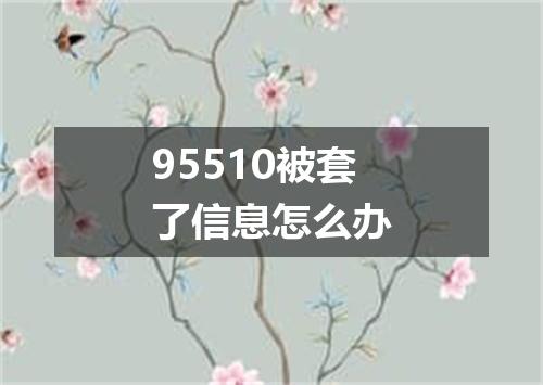 95510被套了信息怎么办
