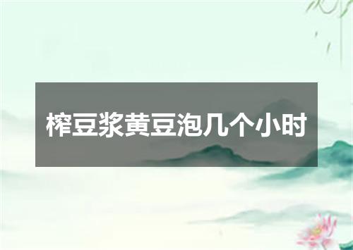 榨豆浆黄豆泡几个小时