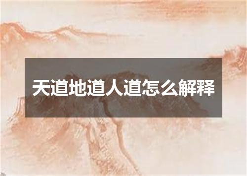 天道地道人道怎么解释