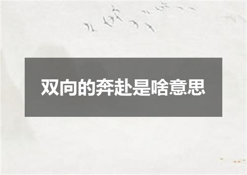 双向的奔赴是啥意思