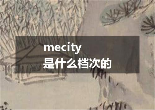 mecity是什么档次的
