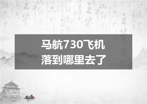 马航730飞机落到哪里去了