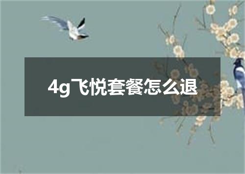 4g飞悦套餐怎么退