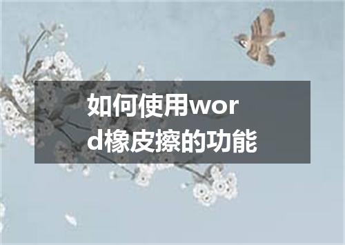 如何使用word橡皮擦的功能