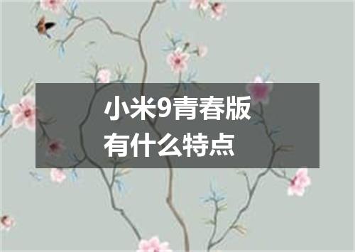 小米9青春版有什么特点