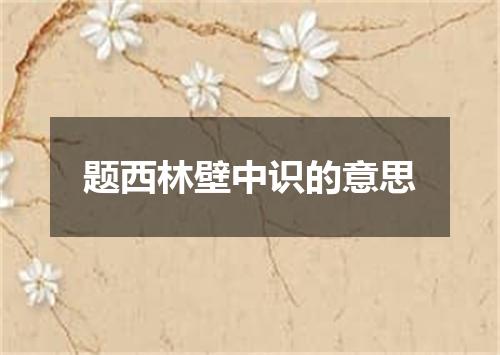 题西林壁中识的意思