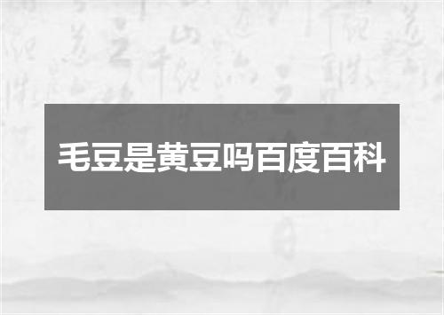 毛豆是黄豆吗百度百科