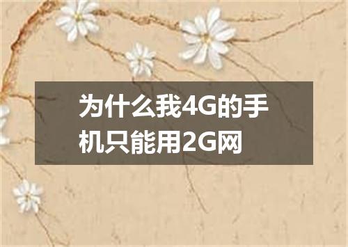 为什么我4G的手机只能用2G网