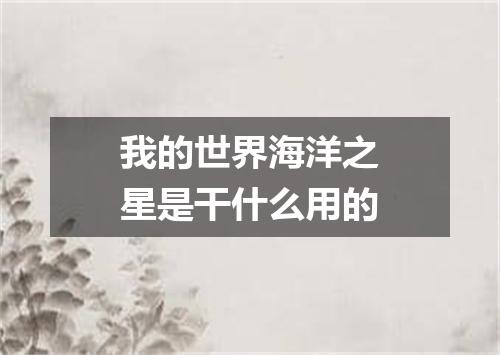 我的世界海洋之星是干什么用的