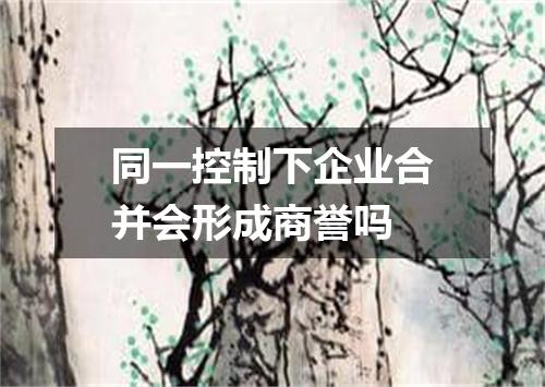 同一控制下企业合并会形成商誉吗