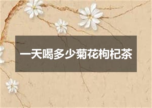 一天喝多少菊花枸杞茶