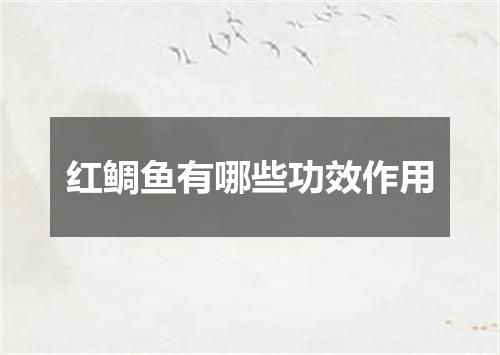 红鲷鱼有哪些功效作用