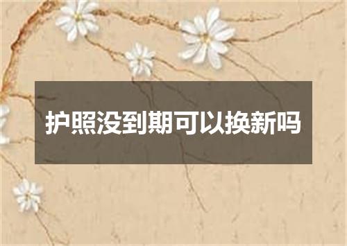 护照没到期可以换新吗