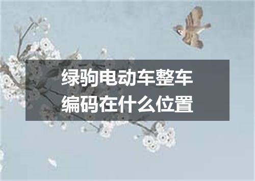 绿驹电动车整车编码在什么位置