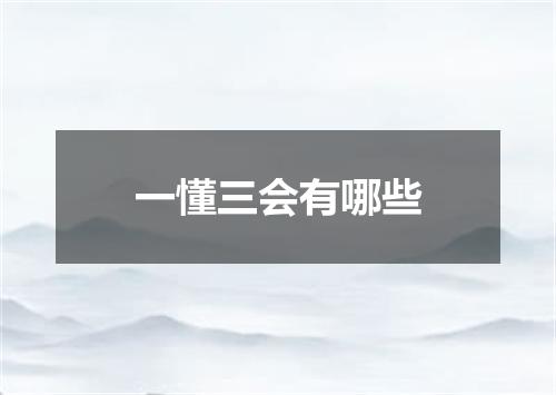 一懂三会有哪些