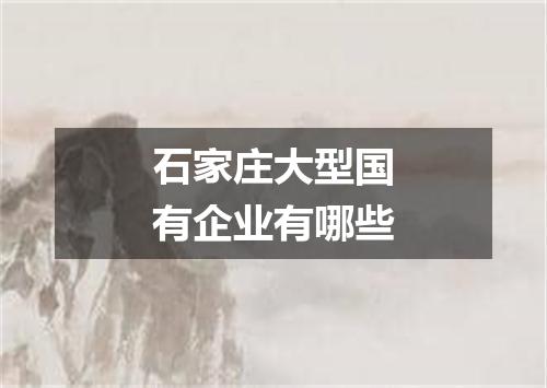 石家庄大型国有企业有哪些