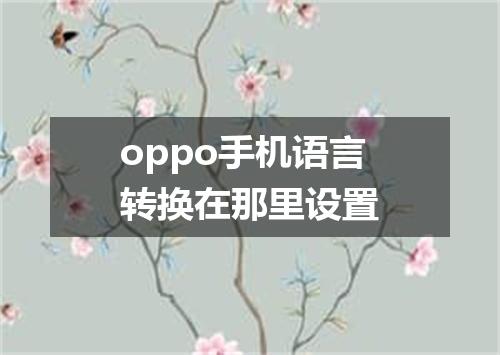 oppo手机语言转换在那里设置