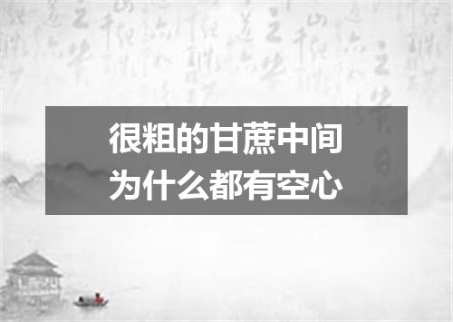 很粗的甘蔗中间为什么都有空心