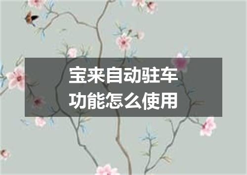 宝来自动驻车功能怎么使用