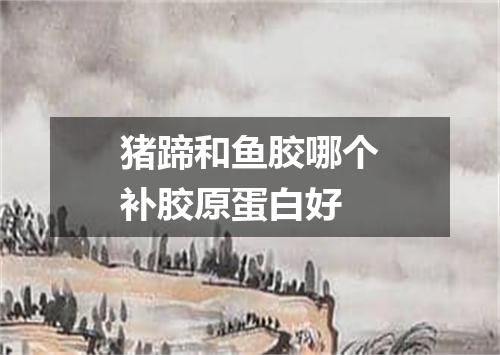 猪蹄和鱼胶哪个补胶原蛋白好