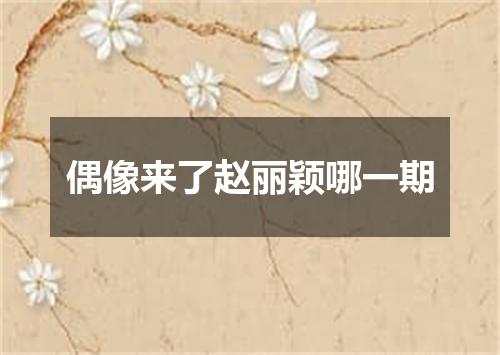 偶像来了赵丽颖哪一期