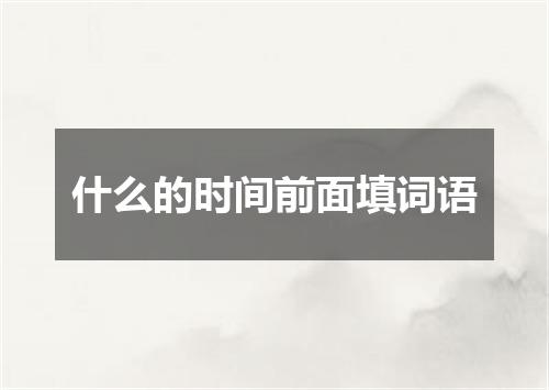 什么的时间前面填词语