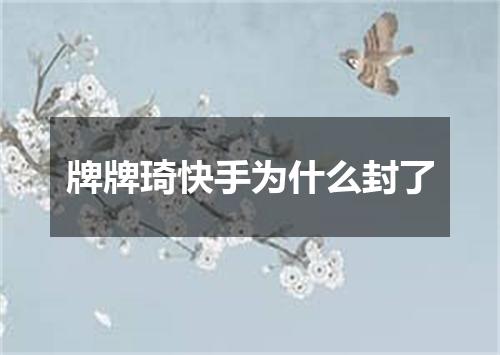 牌牌琦快手为什么封了