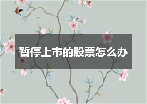 暂停上市的股票怎么办