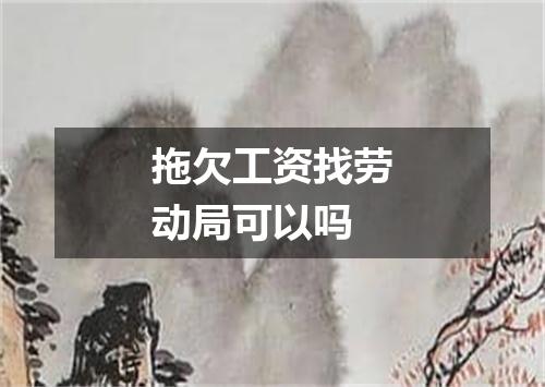 拖欠工资找劳动局可以吗