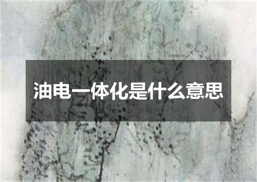 油电一体化是什么意思
