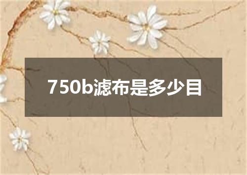 750b滤布是多少目