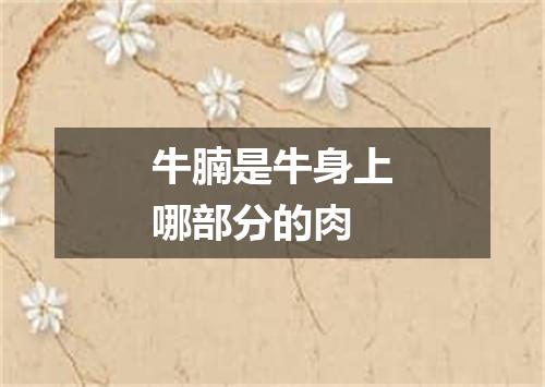 牛腩是牛身上哪部分的肉