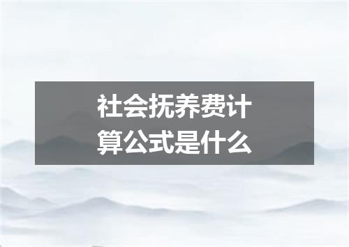 社会抚养费计算公式是什么