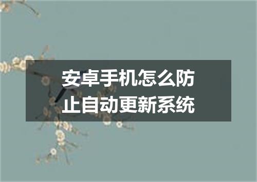 安卓手机怎么防止自动更新系统