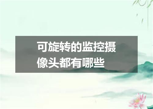 可旋转的监控摄像头都有哪些
