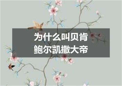 为什么叫贝肯鲍尔凯撒大帝